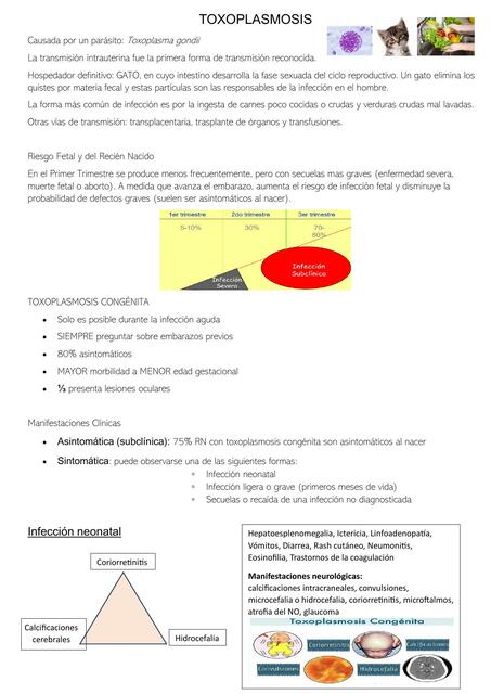TOXOPLASMOSIS Infecciones congénitas y perinatales