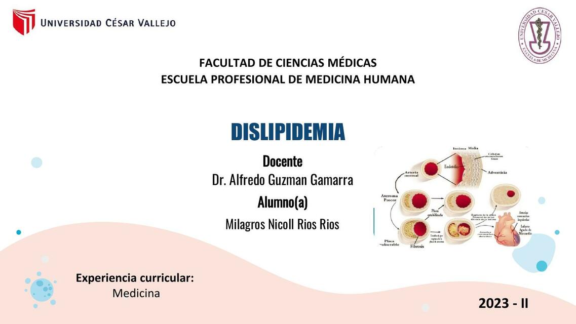 DISLIPIDEMIA AVITAMINOSIS