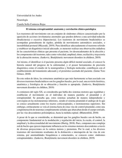 El Sistema Extrapiramidal: Anatomía y Correlación Clínico-Patológica 