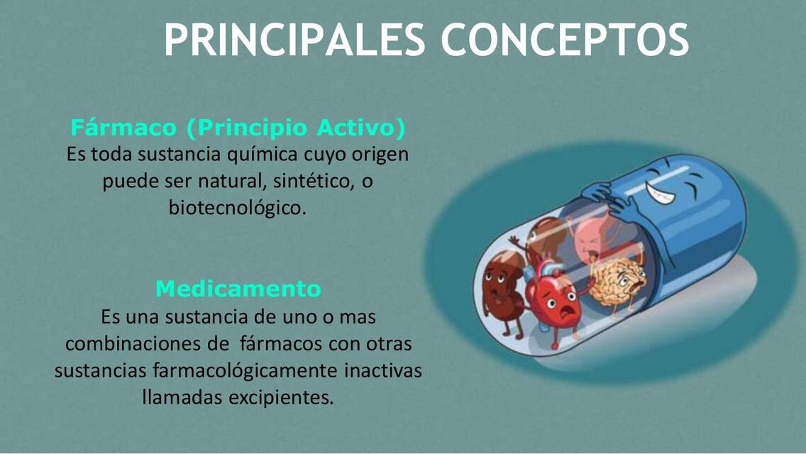 Principales conceptos  