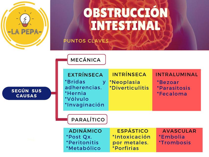 OBSTRUCCION INTESTINAL