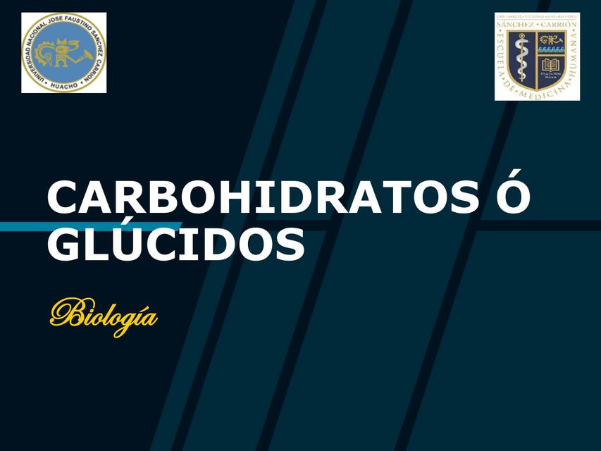 Carbohidratos o glúcidos