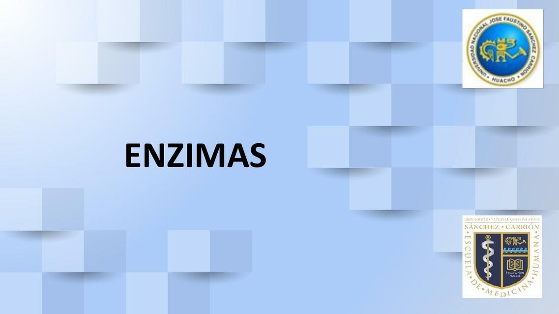 Enzimas 