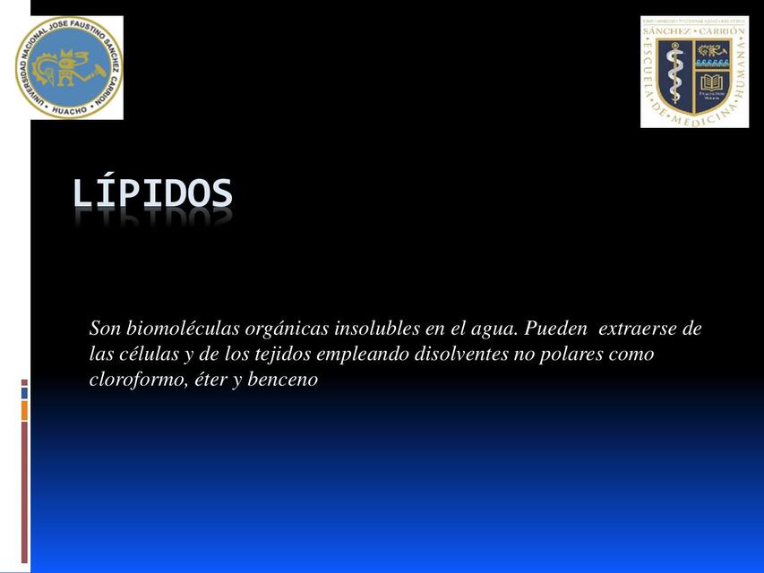 Lípidos 