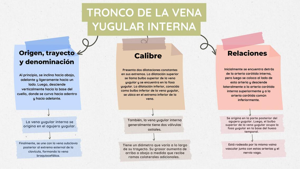 sistema venosos cervicofacial