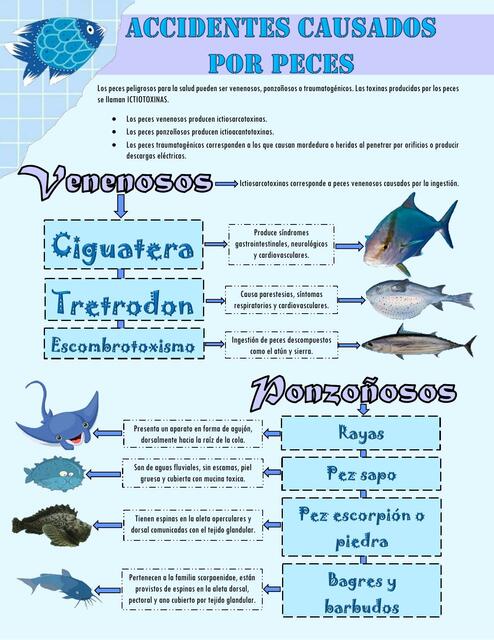 infecciones causados por peces