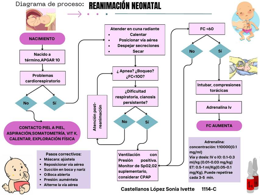 Reanimación Neonatal 