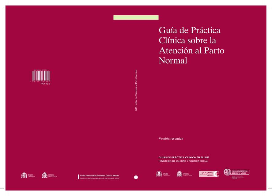 Guía de Práctica Clínica sobre la Atención al Parto Normal | Enfermería