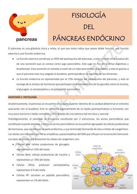 Fisiologia del pancreas