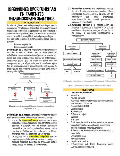 INFECCIONES OPORTUNISTAS EN PACIENTES INMUNOCOMPROMETIDOS