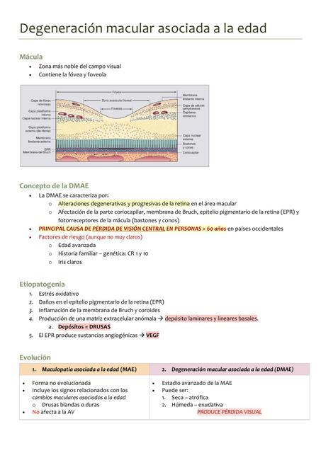 Degeneración Macular Asociada a la Edad 