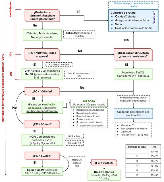 RCP Neonatal