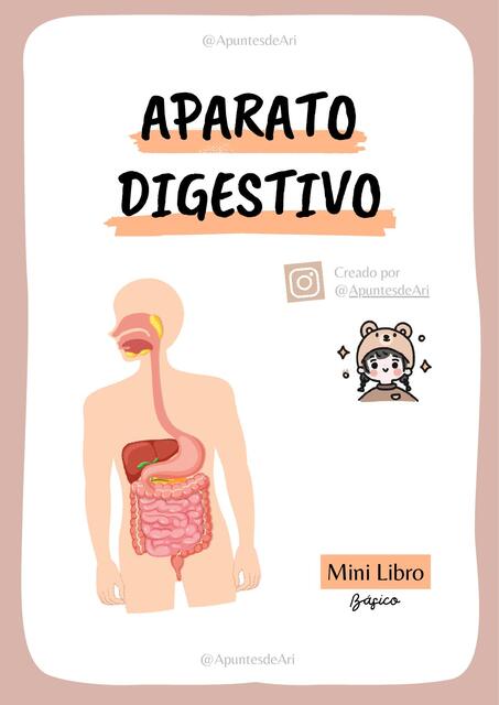 Aparato Digestivo