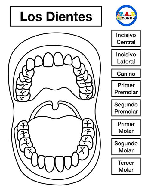 Dientes 