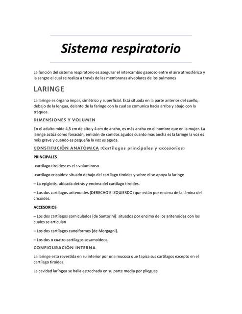 Sistema respiratorio 