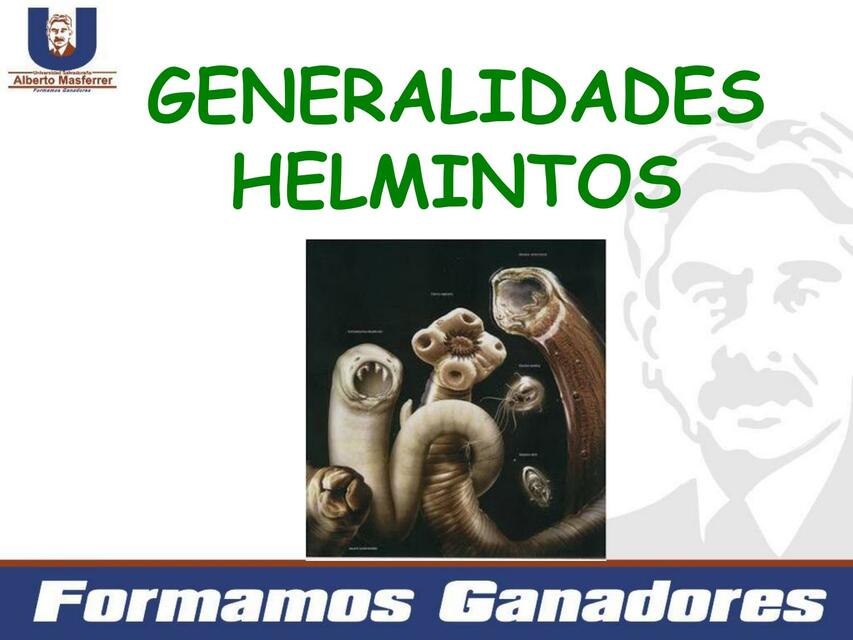 Generalidades helmintos