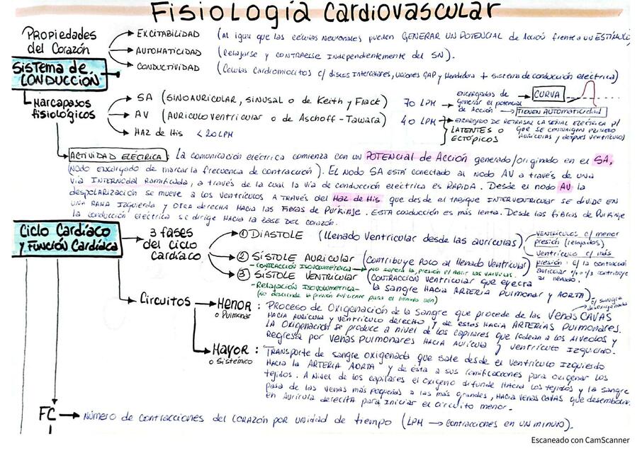 FISIOLOGÍA CARDIOVASCULAR