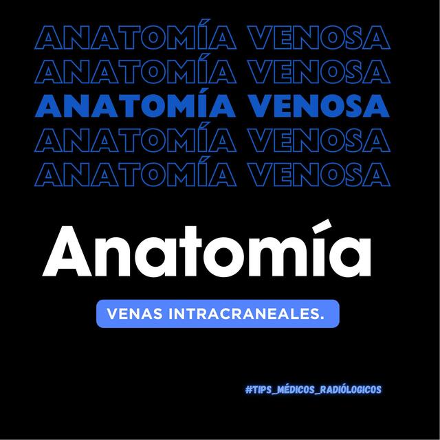 ANATOMIA VENOSA CRANEAL