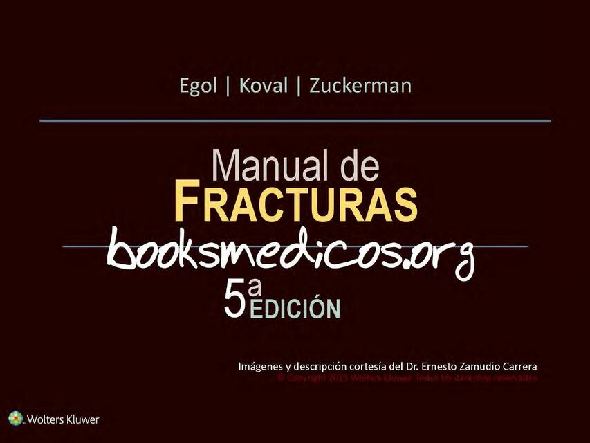 Manual De Fracturas 5ta Edicion Pdf