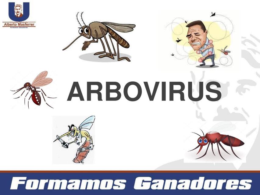 Arbovirus 