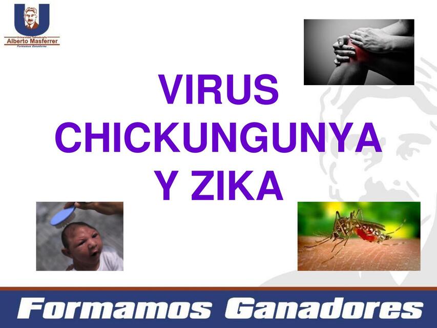 Virus Chikungunya y zika 