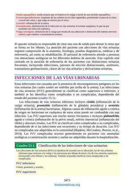  Infección del tracto urinario  