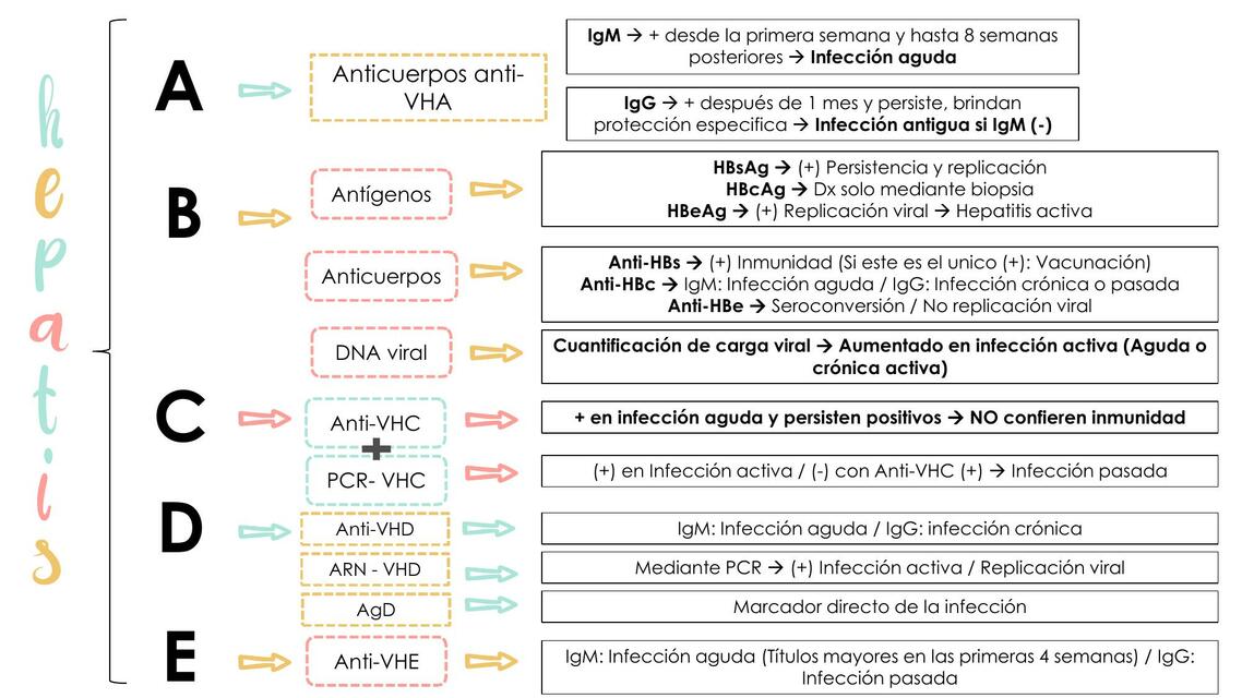 Serología en Hepatitis viral