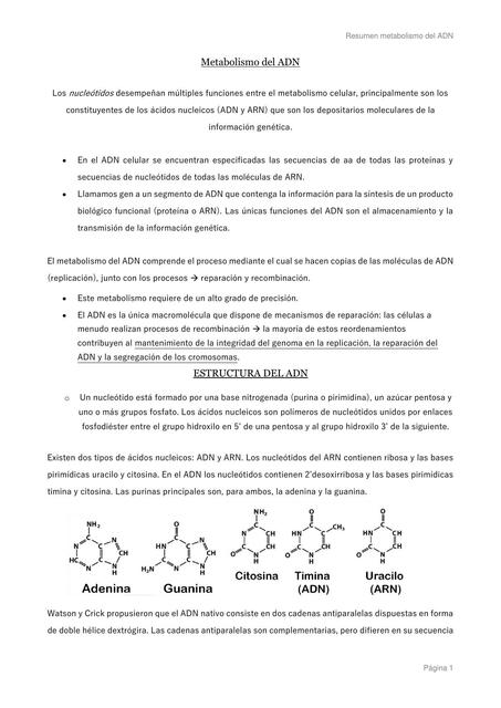 Metabolismo del ADN 