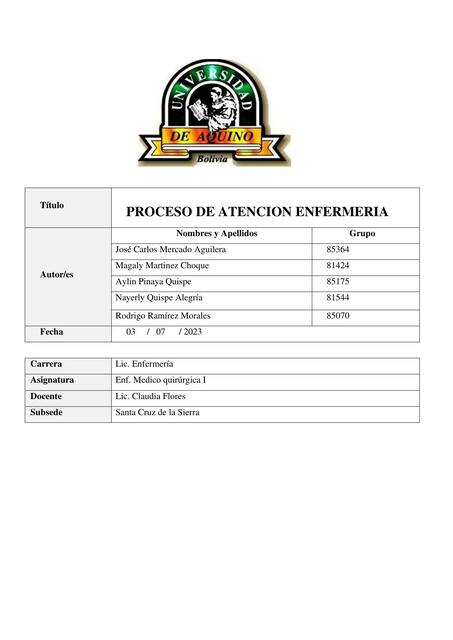 Proceso de Atención de Enfermería 