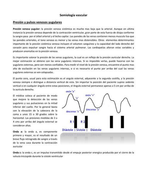  Semiología vascular I