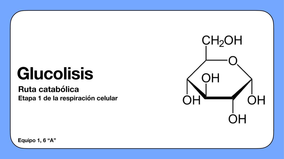 Glucolisis  