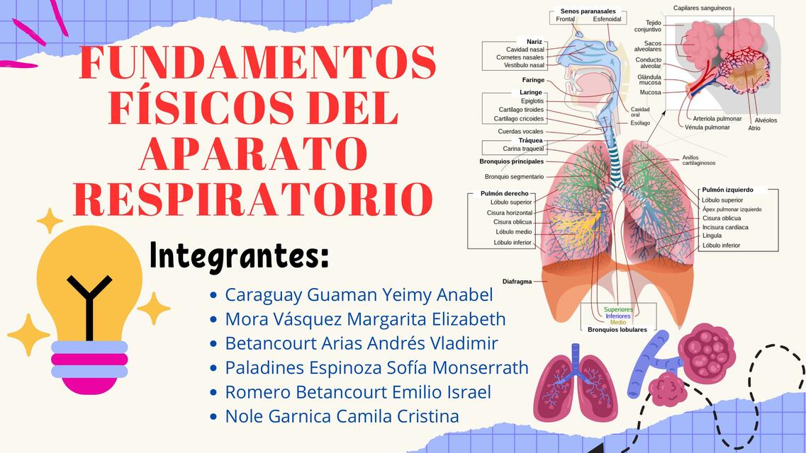  FUNDAMENTOSFÍSICOS DELAPARATORESPIRATORIO