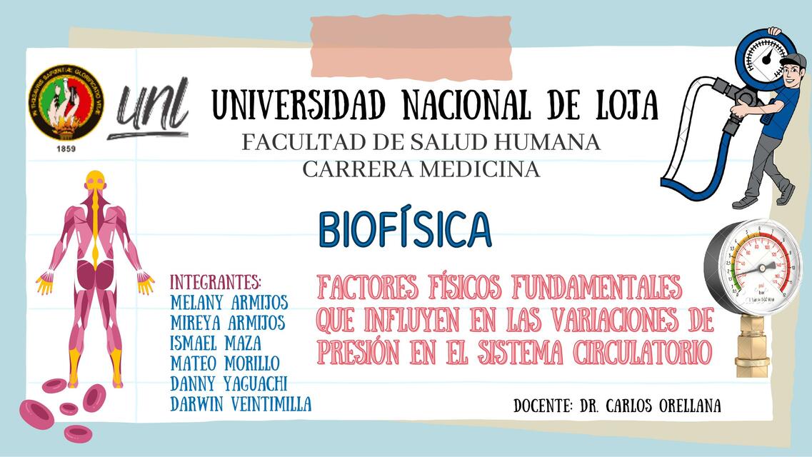 Factores físicos fundamentales que influyen en las variaciones de presión en el sistema circulatorio