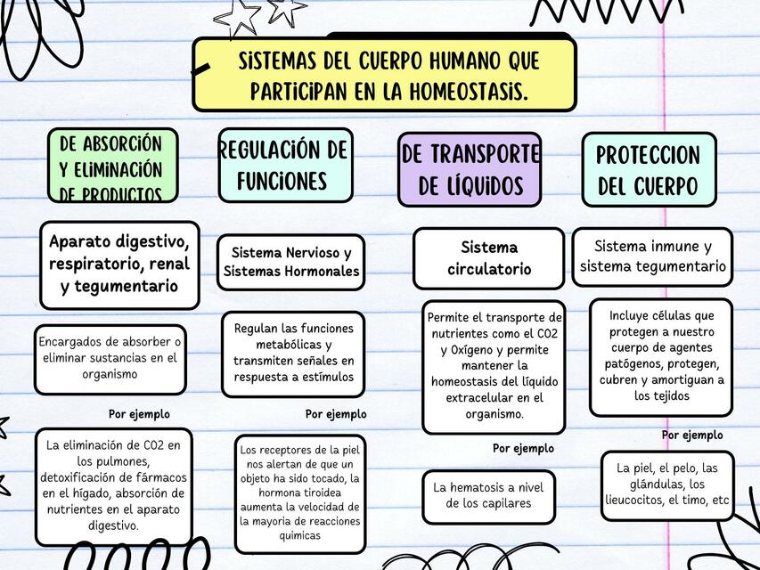 HOMEOSTASIS