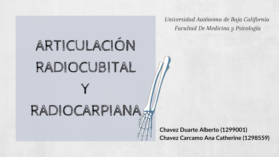 Articulación radiocubital y radiocarpiana