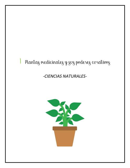 Plantas medicinales y sus poderes curativos Ciencias