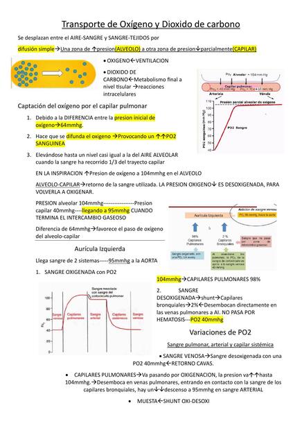 Transporte de Oxígeno y Dióxido de carbono 
