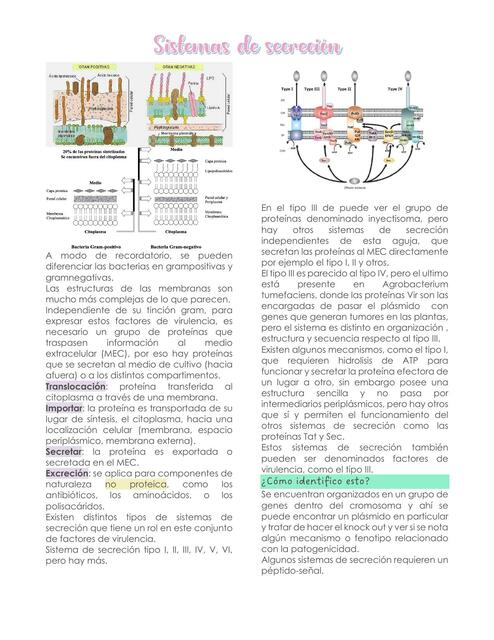 Sistemas de secreción