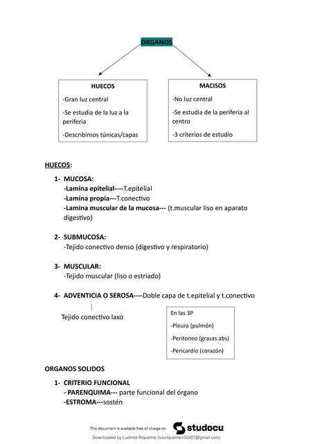 Histologia Resumen Ross Histología Texto Y Atlas