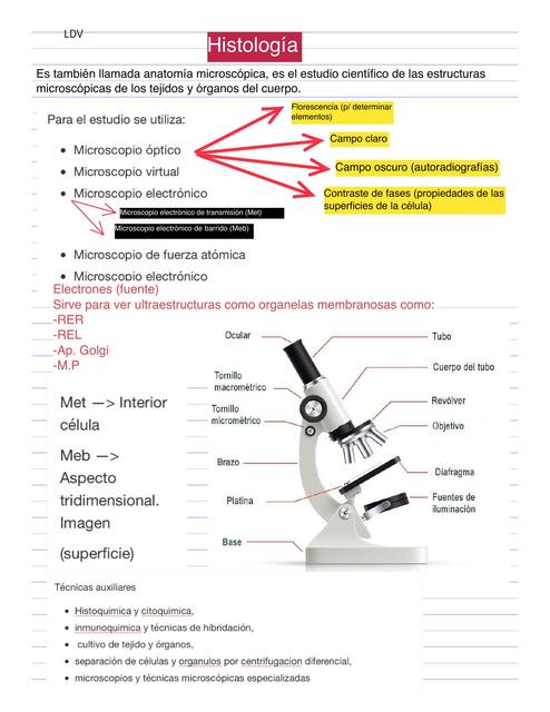 Histología generalidades resumen 