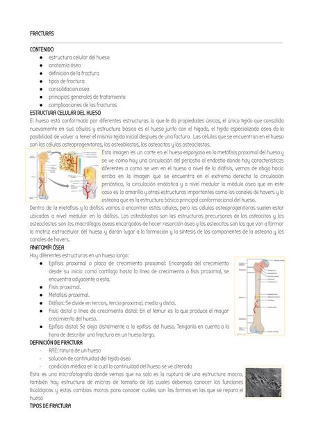 Generalidades de fracturas