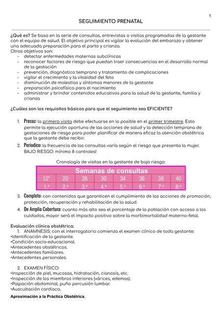 Seguimiento prenatal 