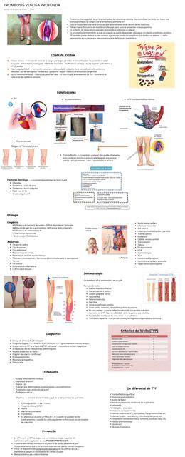 TROMBOSIS VENOSA PROFUNDA 