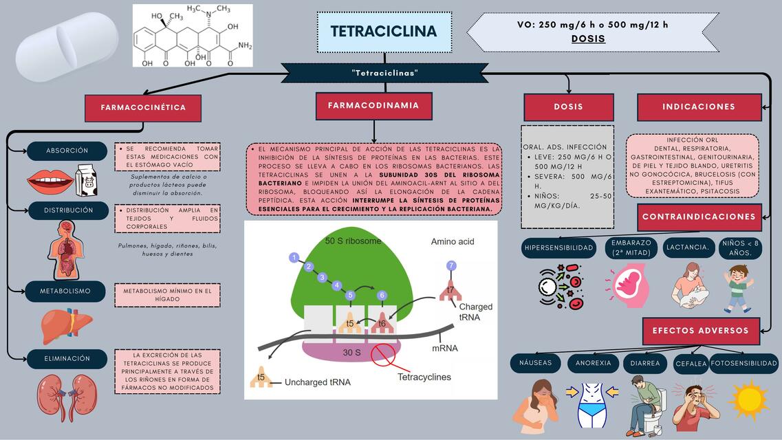 Tetraciclina