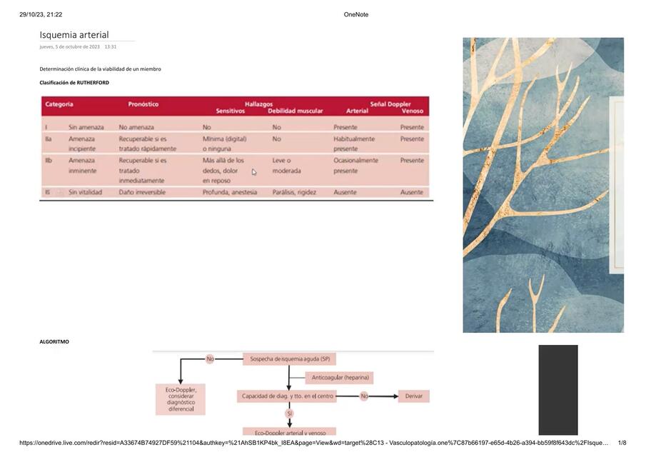 Isquemia arterial  