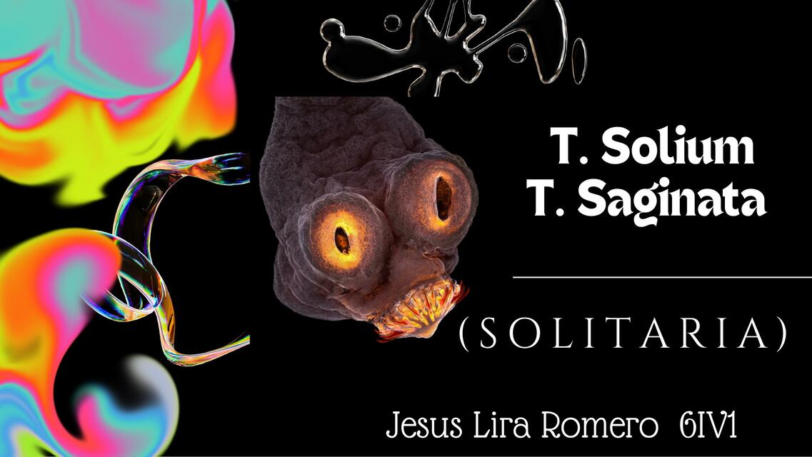 T Solium T Saginata