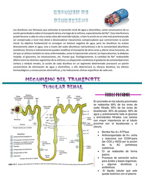 RESUMEN DE DIURETICOS