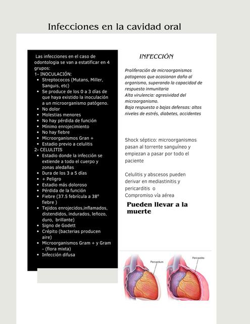 Infecciones en la cavidad oral (Etapas)