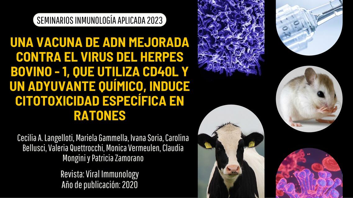 Seminario INMUNOLOGÍA - Vacuna herpes bovino