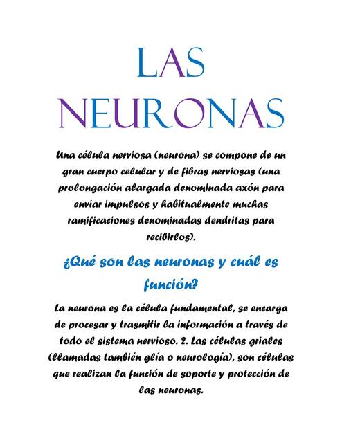 Las neuronas